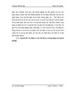 Thiết lập cơ cấu vốn tối ưu thông qua sử dụng công cụ huy động vốn bằng trái phiếu cho Công ty cổ phần Chứng khoán HASECO