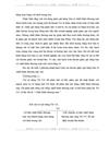 Hoàn thiện kế toán nghiệp vụ bán hàng nội địa ở Công ty xuất nhập khẩu nông sản thực phẩm Hà Nội