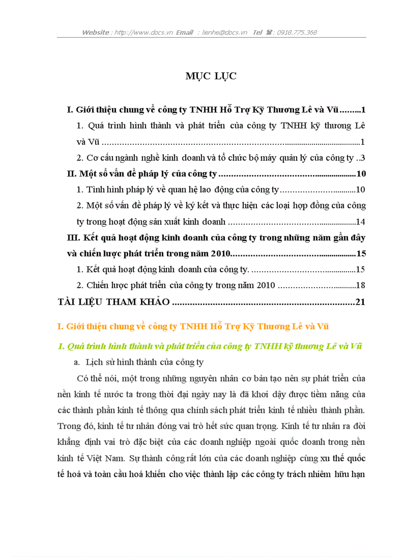 Báo cáo tổng hợp tại công ty công ty TNHH Hỗ Trợ Kỹ Thương Lê và Vũ
