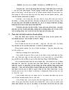 Tại Công ty Nông sản Thực phẩm Hoà Bình