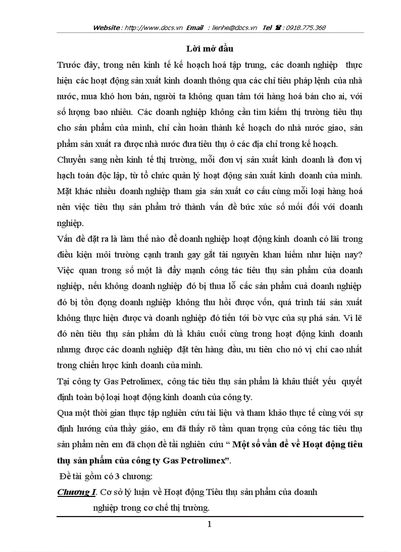 Một số vấn đề về Hoạt động tiêu thụ sản phẩm của công ty Gas Petrolimex