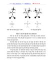 Phương pháp cho phép xác định nhanh và tương đối chính xác hàm lượng các axit amin và protein trong thực phẩm