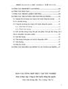 Công ty Mỏ tuyển đồng Sin quyền