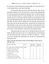 Công ty Mỏ tuyển đồng Sin quyền