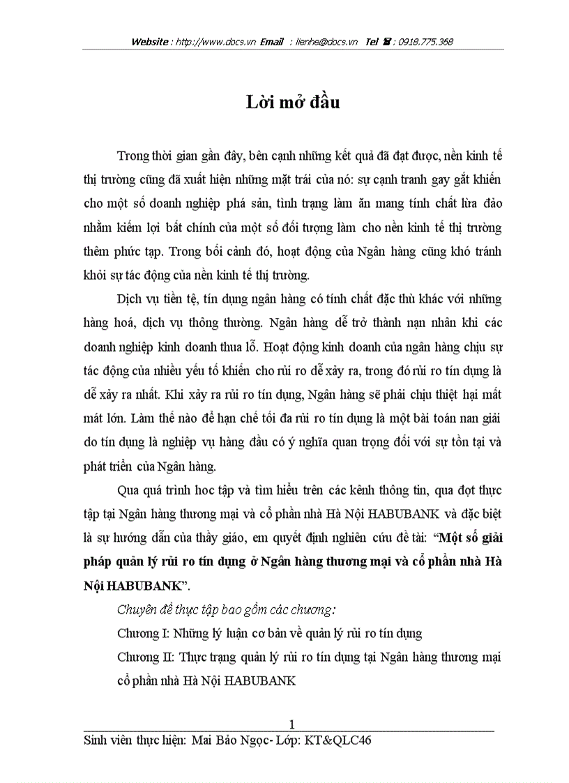 Một số giải pháp quản lý rủi ro tín dụng ở Ngân hàng thương mại và cổ phần nhà Hà Nội HABUBANK