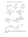 Nghiên cứu cây vối Cleistocslyx Operculatus Roxb