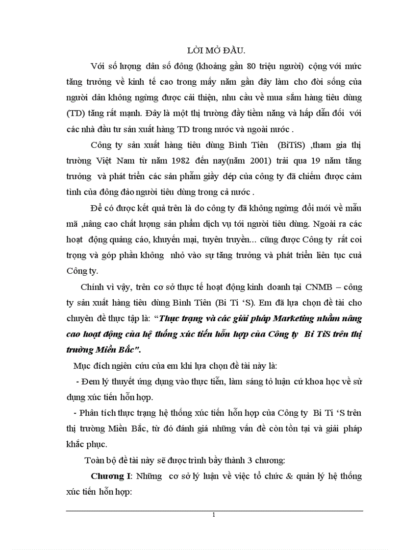 Thực trạng và các giải pháp Marketing nhằm nâng cao hoạt động của hệ thống xúc tiến hỗn hợp của Công ty Bi TiS trên thị trường Miền Bắc