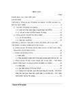 Phân tích và thiết kế Hệ thống thông tin Kế toán thu chi Ngân sách nhà nước bằng tiền mặt tại Kho bạc nhà nước Na Hang