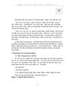 Tiêu thụ sản phẩm ở Công ty Xây dựng Hợp Nhất