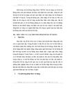 Bổ sung thêm một modul vào hệ thống để tính phần dư nợ của các khách hàng tại Công ty Điện tử viễn thông quân đội VIETEL