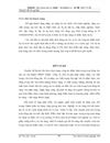 Giải pháp nâng cao chất lượng thẩm định trong hoạt động cho vay tại chi nhánh Ngân hàng Ngoại thương Thành Công