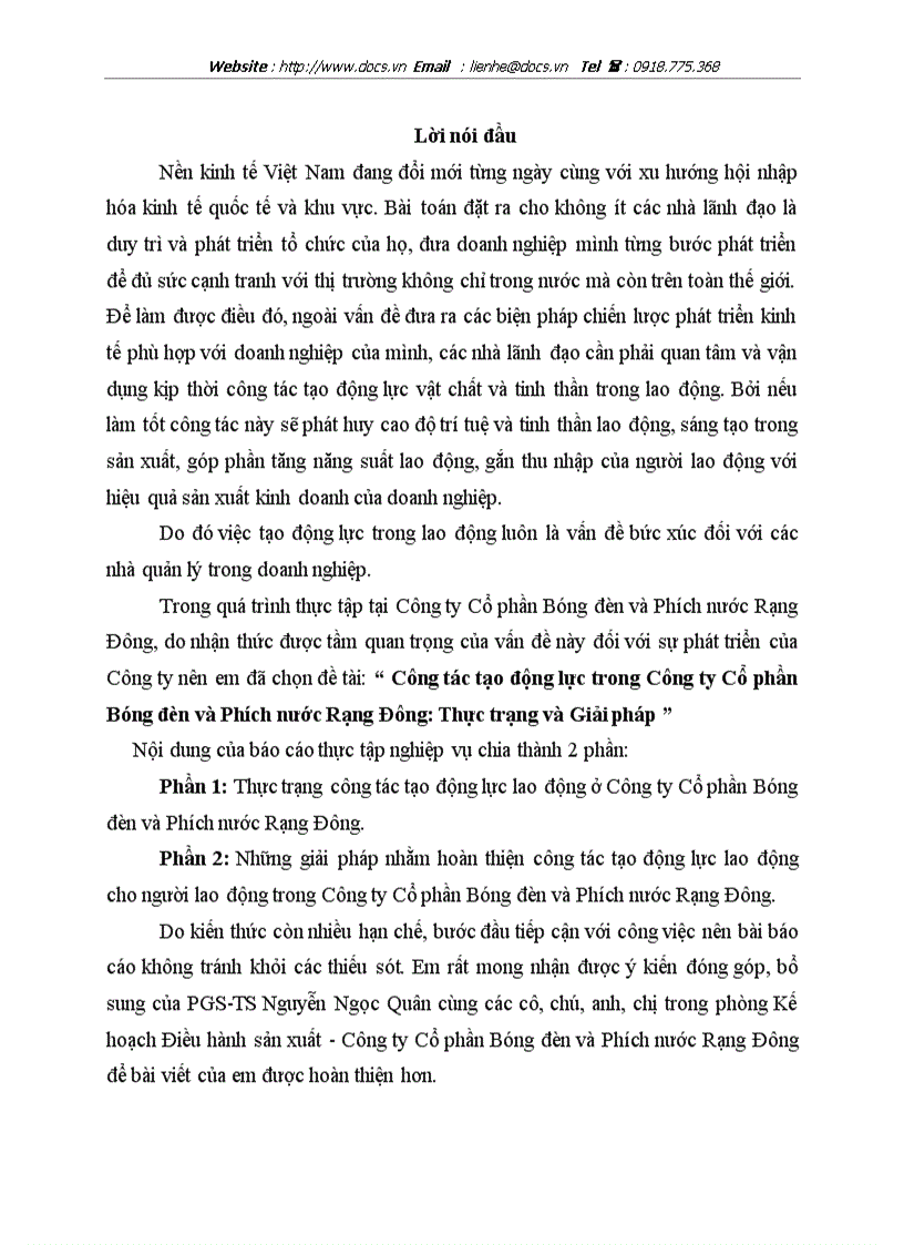Công tác tạo động lực trong Công ty CP Bóng đèn và Phích nước Rạng Đông Thực trạng và Giải pháp Nghiệp vụ