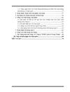 Biện pháp thúc đầy tiêu thụ sản phẩm may mặc của công ty TNHH Quốc tế Song Thanh trên thị trường nội địa