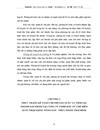 Hoàn thiện công tác kế toán chi phí sản xuất và tính giá thành sản phẩm tại Công ty TNHH Đầu tư chế biến XNK NSTP Thái Bình