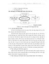 Phân tích hoạt động quản lý sử dụng thuốc tại bệnh viện tim Hà Nội giai đoạn 2008 2010