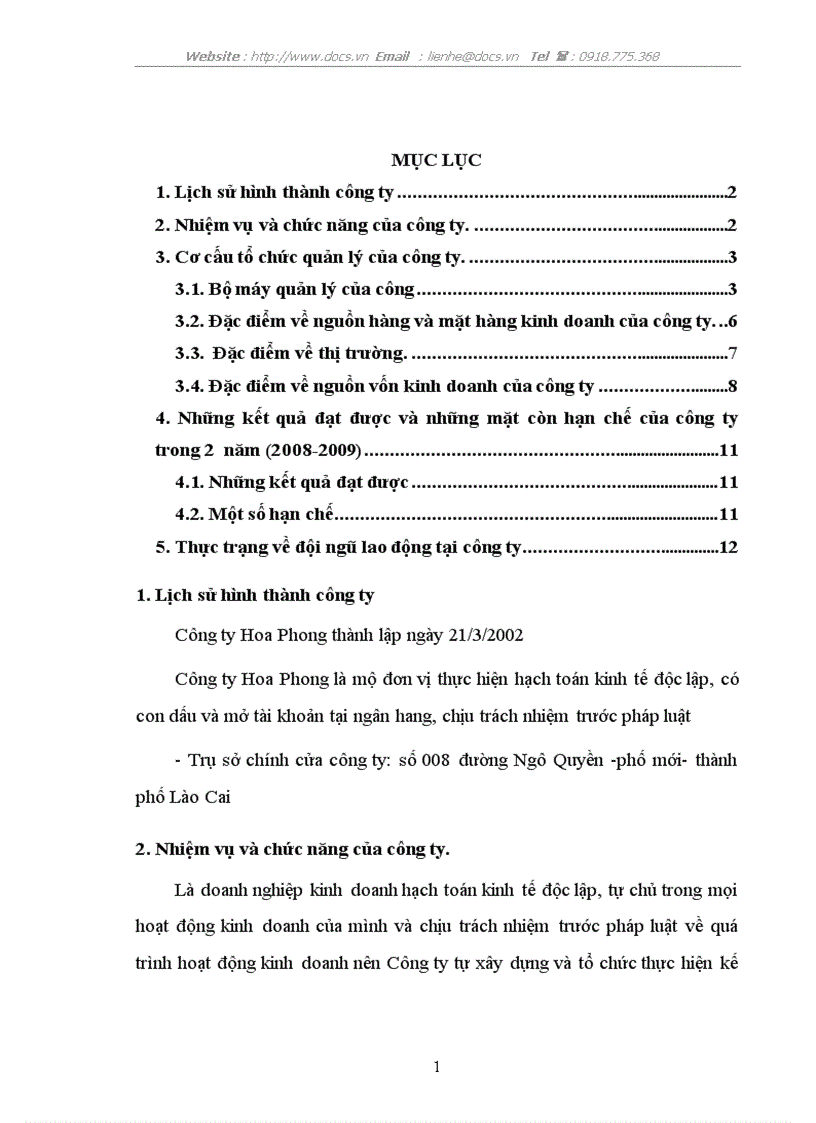 Báo cáo tổng hợp về Công ty Hoa Phong