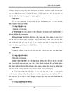 Xây dựng web site trường đại học hùng vương