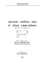 Ngành trồng trà ở tỉnh lâm đồng