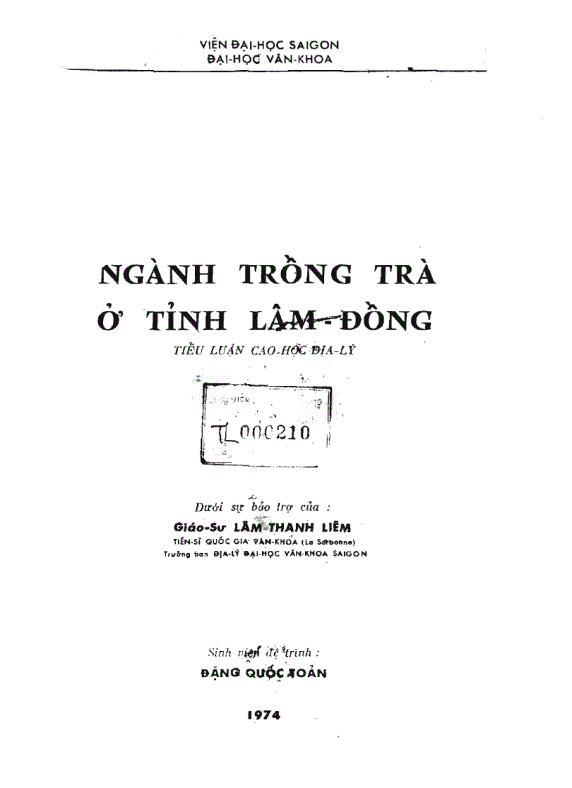 Ngành trồng trà ở tỉnh lâm đồng