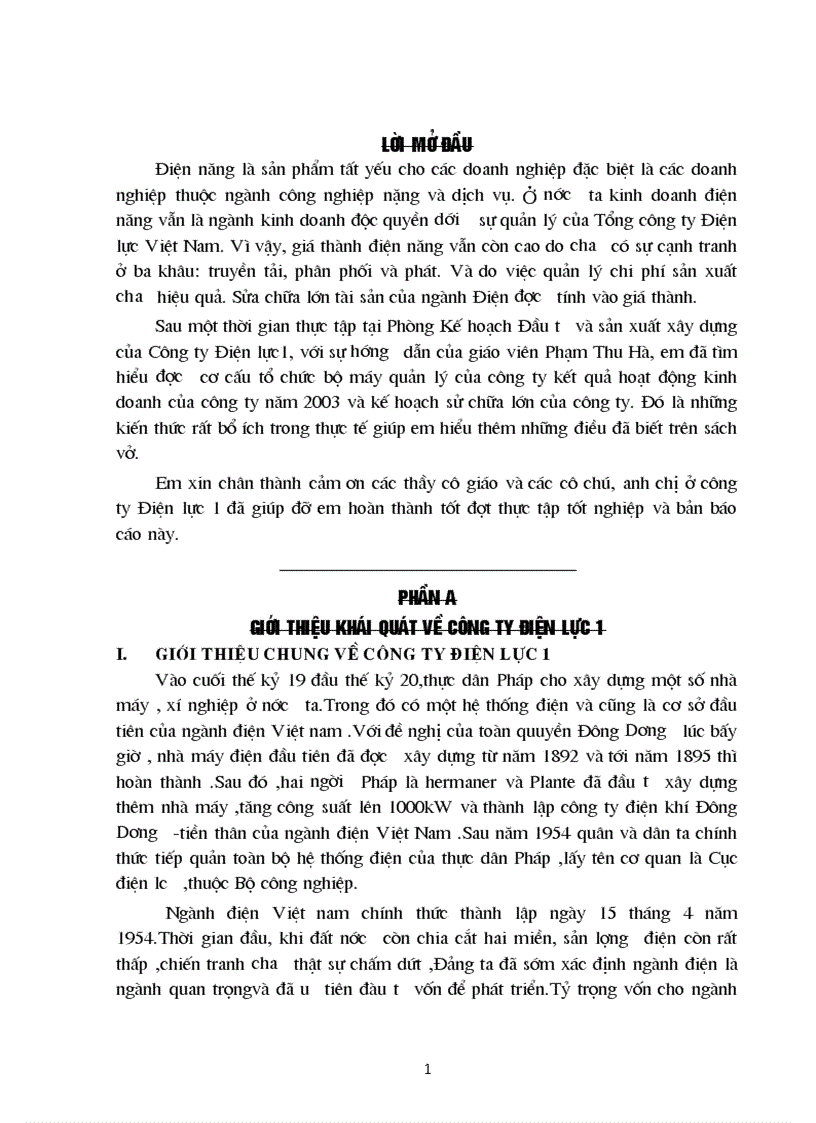 Báo cáo thực tập Tại Công ty Điện lực