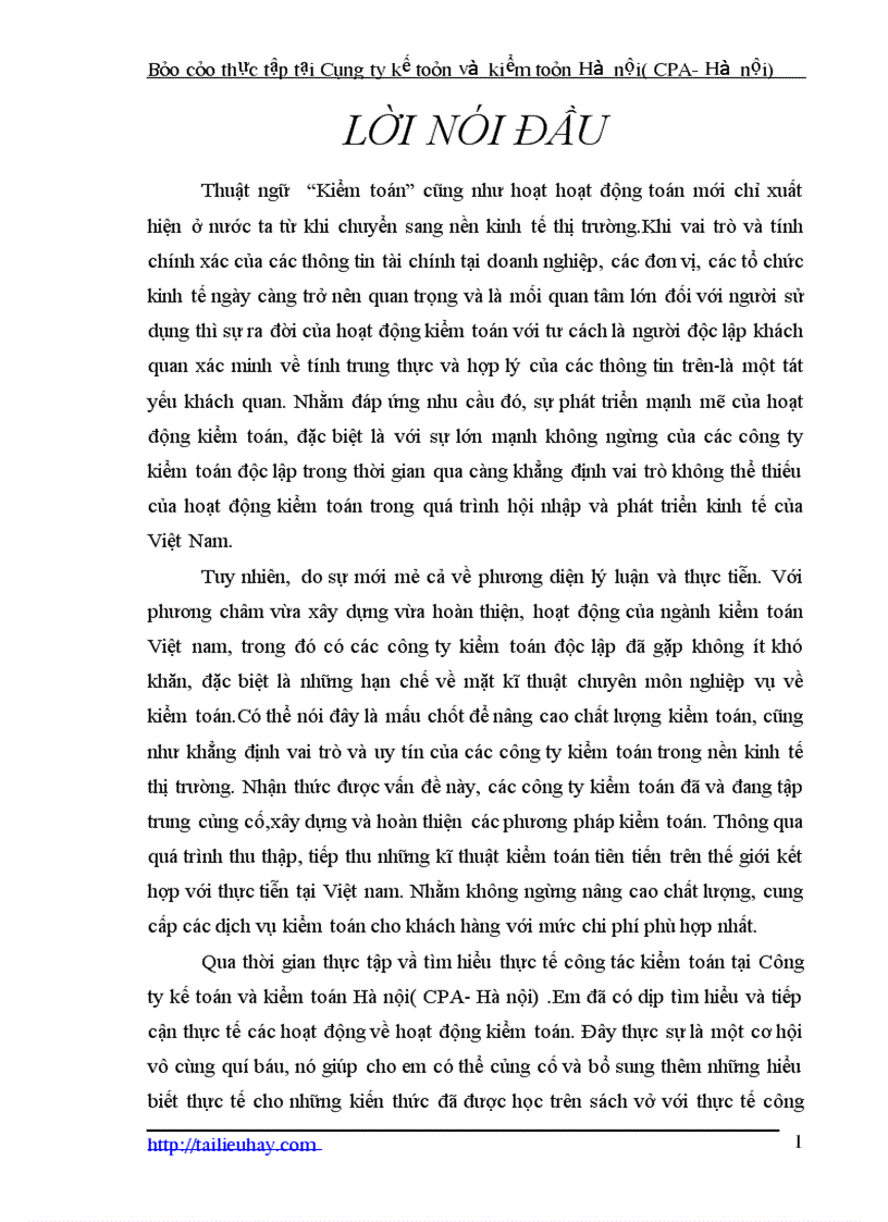 Công ty kế toán và kiểm toán Hà nội CPA Hà nội