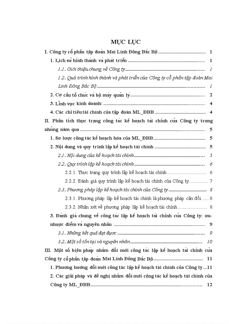Các giải pháp về tổ chức bộ máy kế hoạch tài chính Công ty cô phâ n tâ p đoa n Mai Linh Đông Bă c Bô