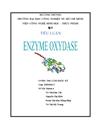 Enzyme Oxydase