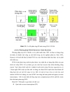 Phát hiện bệnh khảm lá mía bằng kĩ thuật elisa và bước đầu nghiên cứu phát hiện bệnh cằn mía gốc bằng kĩ thuật pcr