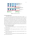 Khai thác dữ liệu est Expressed sequence tags nhằm phát hiện microsattellte phục vụ cho công tac phân tích và so sánh đặc điểm di truyền của ong mật