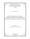 KHẢO SÁT ẢNH HƯỞNG CỦA VI KHUẨN METHYLOBACTERIUMSP LÊN SỰ PHÁT SINH CƠ QUAN CÂY LÚA Oryza sativa L NUÔI CẤY IN