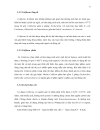 Khảo sát tìm nguyên nhân nhiễm vi sinh vật trong sản phẩm chả giõ chế biến tại cholimex đề xuất biện pháp khắc phục