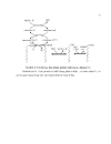 Chuyển Plasmid chứa gene alkabk1 alkabk2 vào Rhodococcus opacus B4 để tăng năng suất tạo enzyme n alkane monoxygenase