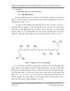 Nghiên cứu xây dựng quy trình công nghệ sản xuất bột cà chua có hàm lượng lycopen cao