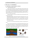 Sản xuất biodiesel từ vi tảo Kỹ thuật nuôi cấy vi tảo thu lipid