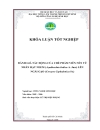 Nghiên cứu tạo chế phẩm viên nén từ nhân hạt neem Azadirachta Indica A Juss để phòng trừ ngài gạo Corcyra Cephalonica St