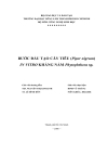 Bước đầu tạo cây tiêu Piper nigrum invitro kháng nấm Phytophthora sp