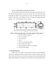 Tính toán thiết kế hệ thống lạnh cho kho bảo quản sản phẩm thủy sản đông lạnh sức chứa 500 tấn tại Công ty TNHH Minh Đăng Sóc Trăng