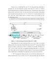 Phát hiện virus DTH dựa trên đoạn gen NS5B