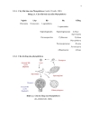 ĐỊNH DANH NẤM Phytophthora spp BẰNG CÁC KỸ THUẬT SINH HỌC PHÂN TỬ