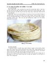 Công nghệ sản xuất Tortillas Bánh tráng bắp châu Mỹ