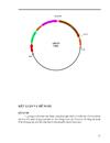 Thiết kế Ti plasmid tái tổ hợp pBI121 mang gen mã hóa kháng nguyên glycoprotein của virus dại phục vụ chuyển gen