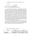 Nâng cao hiệu quả hoạt động kinh doanh nhập khẩu tại công ty nhập khẩu thiết bị vật tư thông tin