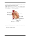 Thiết kế chế tạo thiết bị đó ECG giao tiếp với máy tính