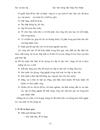 Thiết kế Wesbsite IT new