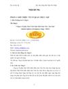 Thiết kế Wesbsite IT new