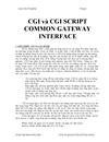 CGI và CGI SCRIPT COMMON GATEWAY INTERFACE