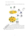 Nghiên cứu và phát triển ứng dụng trên mạng không dây