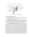 Lý thuyết mạng Neuron