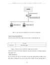 Giao thức IPv4