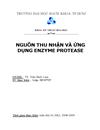 Nguồn thu nhận và ứng dụng của enzyme protease